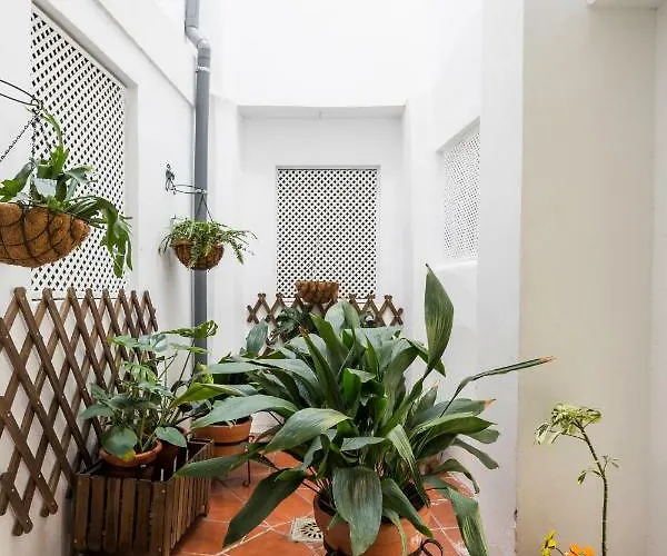 Livings En Elvira Centro Apartmán Granada