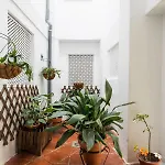 Central Patio Loft Apartamento Granada