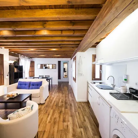 Livings En Elvira Centro Daire